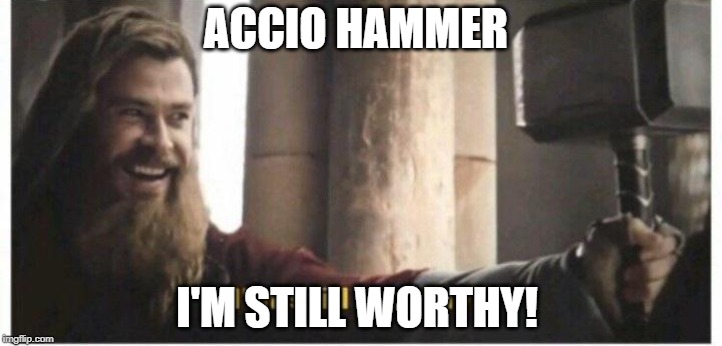 Im still worthy | ACCIO HAMMER; I'M STILL WORTHY! | image tagged in im still worthy | made w/ Imgflip meme maker