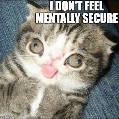 Derp Cat | I DON'T FEEL MENTALLY SECURE | image tagged in derp cat | made w/ Imgflip meme maker