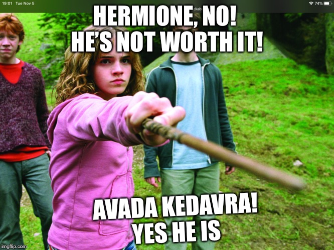 harry potter and hermione Memes & GIFs - Imgflip