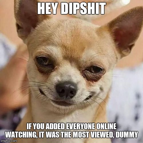 Smirking Dog | HEY DIPSHIT IF YOU ADDED EVERYONE ONLINE WATCHING, IT WAS THE MOST VIEWED, DUMMY | image tagged in smirking dog | made w/ Imgflip meme maker