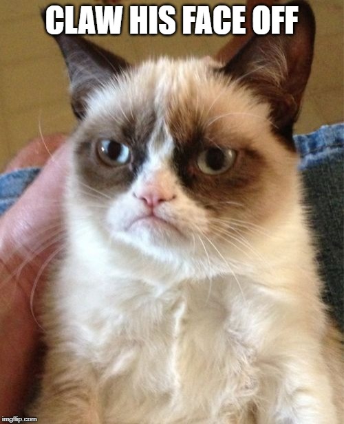 Grumpy Cat Meme | CLAW HIS FACE OFF | image tagged in memes,grumpy cat | made w/ Imgflip meme maker