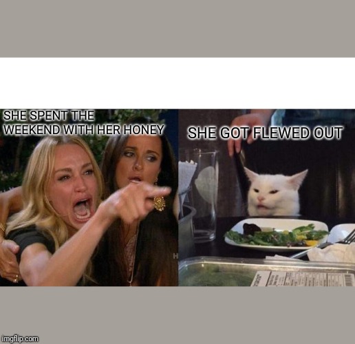 Woman Yelling At Cat Meme | SHE SPENT THE WEEKEND WITH HER HONEY; SHE GOT FLEWED OUT | image tagged in memes,woman yelling at a cat | made w/ Imgflip meme maker