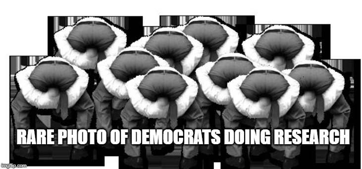 Democrats hard at work | RARE PHOTO OF DEMOCRATS DOING RESEARCH | image tagged in head up ass,funny memes,democrats,research,up your ass | made w/ Imgflip meme maker