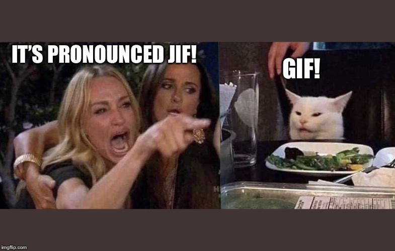 woman yelling at cat | GIF! IT’S PRONOUNCED JIF! | image tagged in woman yelling at cat | made w/ Imgflip meme maker