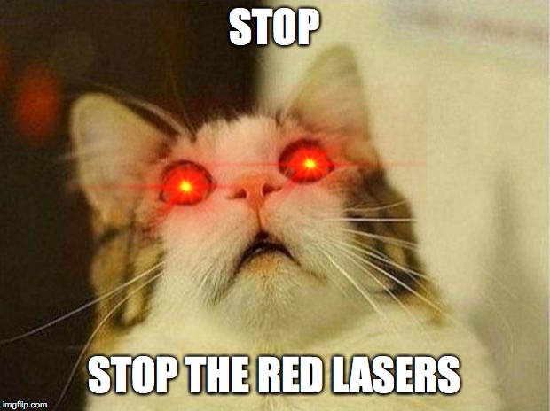 Scared Cat Meme | STOP; STOP THE RED LASERS | image tagged in memes,scared cat | made w/ Imgflip meme maker
