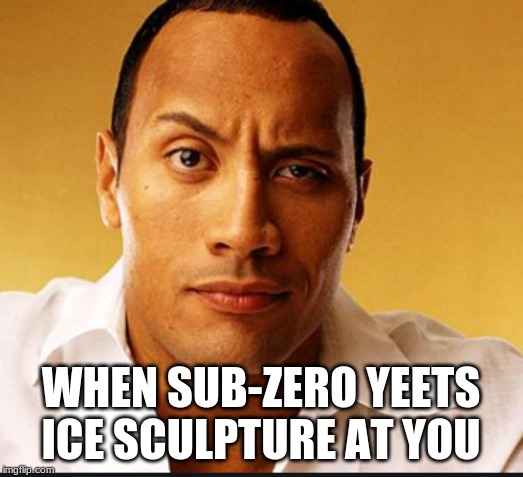 WHEN SUB-ZERO YEETS ICE SCULPTURE AT YOU | image tagged in mortal kombat,all | made w/ Imgflip meme maker