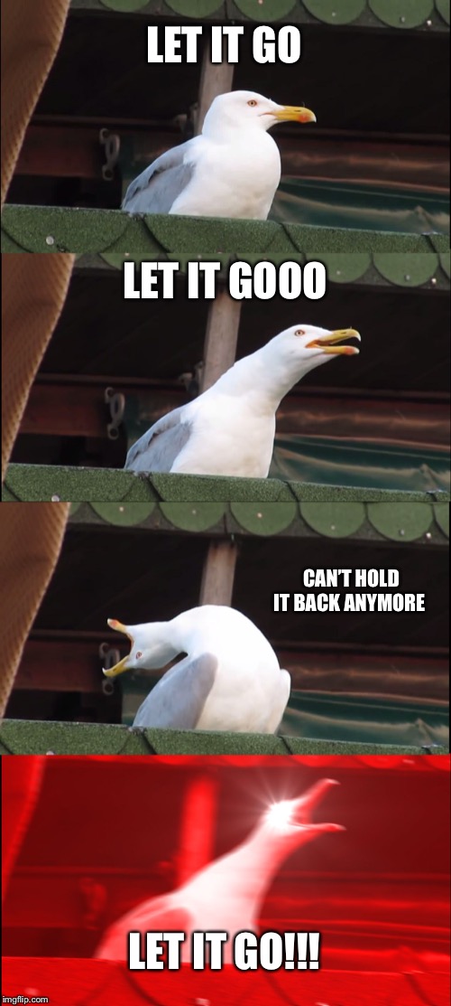 Inhaling Seagull Meme | LET IT GO; LET IT GOOO; CAN’T HOLD IT BACK ANYMORE; LET IT GO!!! | image tagged in memes,inhaling seagull | made w/ Imgflip meme maker