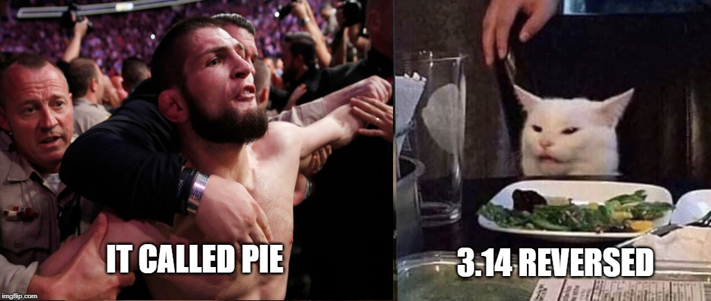 3.14 REVERSED; IT CALLED PIE | image tagged in yelling at cat | made w/ Imgflip meme maker