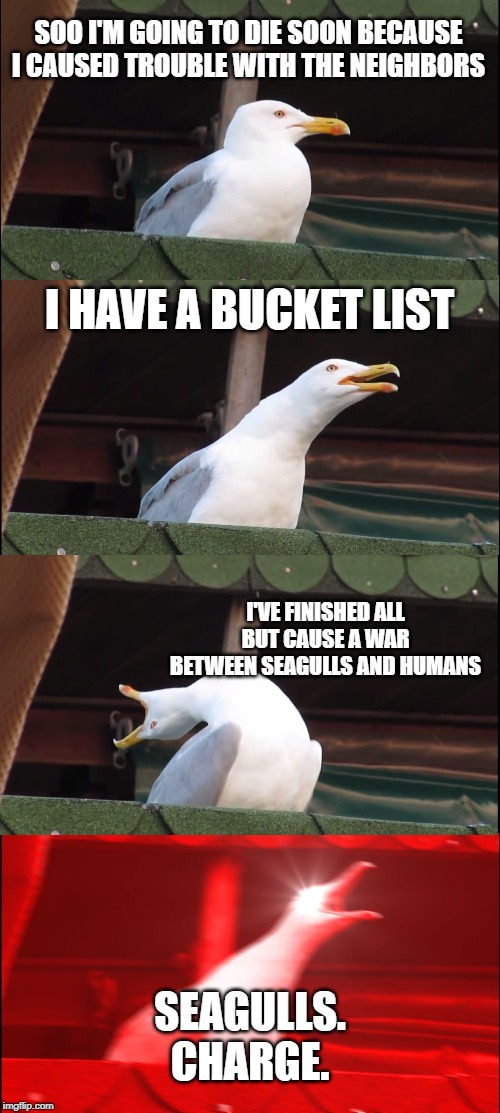 Inhaling Seagull | SOO I'M GOING TO DIE SOON BECAUSE I CAUSED TROUBLE WITH THE NEIGHBORS; I HAVE A BUCKET LIST; I'VE FINISHED ALL BUT CAUSE A WAR BETWEEN SEAGULLS AND HUMANS; SEAGULLS. CHARGE. | image tagged in memes,inhaling seagull | made w/ Imgflip meme maker