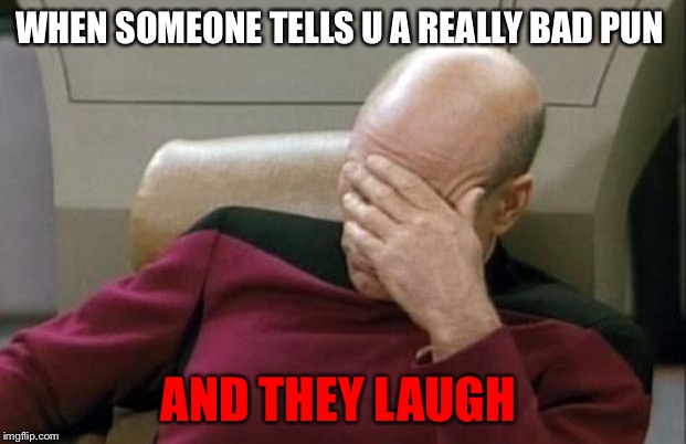 Captain Picard Facepalm | WHEN SOMEONE TELLS U A REALLY BAD PUN; AND THEY LAUGH | image tagged in memes,captain picard facepalm | made w/ Imgflip meme maker