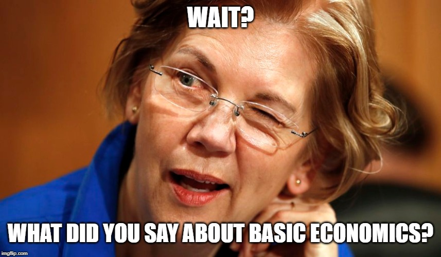 Basic Economics? |  WAIT? WHAT DID YOU SAY ABOUT BASIC ECONOMICS? | image tagged in medicare for all,m4a,elizabeth warren healthcare plan | made w/ Imgflip meme maker
