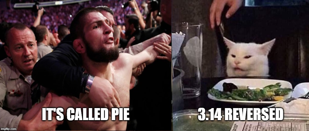 IT'S CALLED PIE; 3.14 REVERSED | image tagged in yelling at cat,cat,yelling,hold back | made w/ Imgflip meme maker