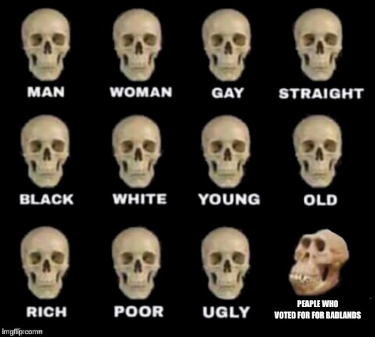 idiot skull | PEOPLE WHO VOTED FOR BADLANDS | image tagged in idiot skull | made w/ Imgflip meme maker