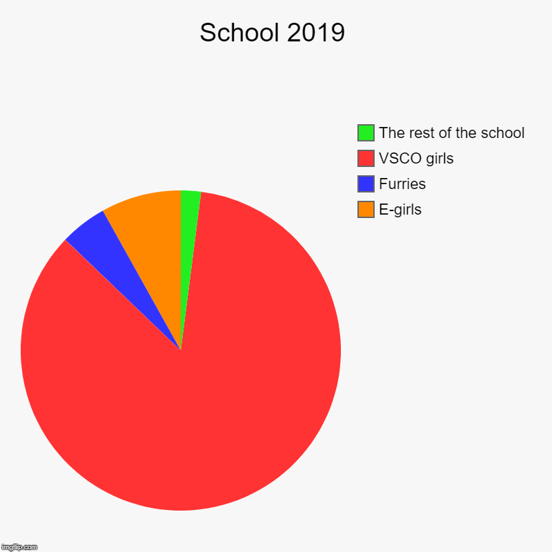 School 2019 | E-girls, Furries, VSCO girls, The rest of the school | image tagged in charts,pie charts | made w/ Imgflip chart maker