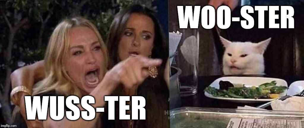 woman yelling at cat | WOO-STER; WUSS-TER | image tagged in woman yelling at cat | made w/ Imgflip meme maker