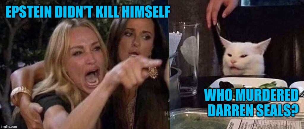 woman yelling at cat | EPSTEIN DIDN'T KILL HIMSELF; WHO MURDERED
DARREN SEALS? | image tagged in woman yelling at cat | made w/ Imgflip meme maker