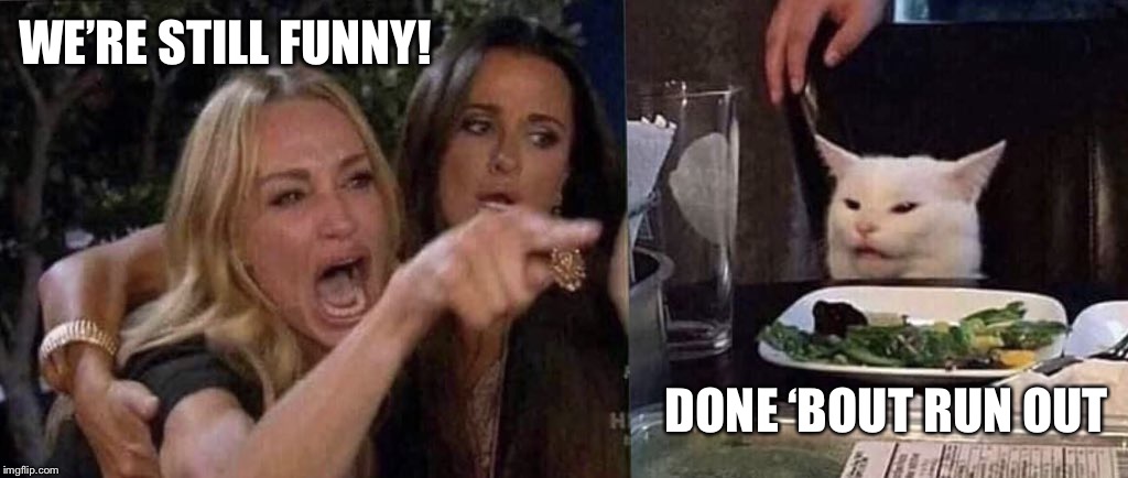 woman yelling at cat | WE’RE STILL FUNNY! DONE ‘BOUT RUN OUT | image tagged in woman yelling at cat | made w/ Imgflip meme maker