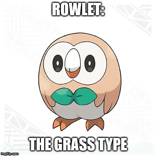 Rowlet | ROWLET:; THE GRASS TYPE | image tagged in rowlet | made w/ Imgflip meme maker