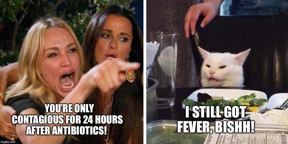 Strep | YOU’RE ONLY CONTAGIOUS FOR 24 HOURS AFTER ANTIBIOTICS! I STILL GOT FEVER, BISHH! | image tagged in smudge the cat | made w/ Imgflip meme maker