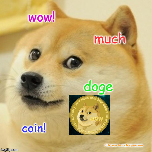 Doge | wow! much; doge; coin! (this meme is completely random) | image tagged in memes,doge | made w/ Imgflip meme maker