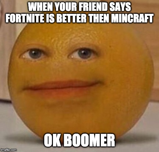 annoy orange | WHEN YOUR FRIEND SAYS FORTNITE IS BETTER THEN MINCRAFT; OK BOOMER | image tagged in annoy orange | made w/ Imgflip meme maker