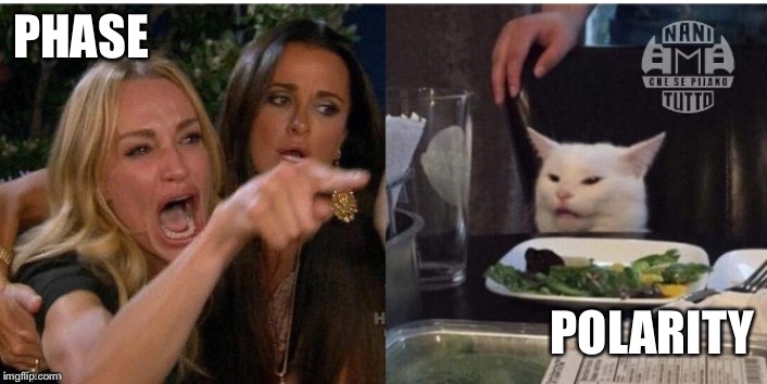 white cat table | PHASE; POLARITY | image tagged in white cat table | made w/ Imgflip meme maker