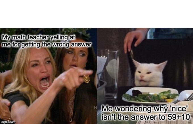 Woman Yelling At Cat Meme | My math teacher yelling at me for getting the wrong answer; Me wondering why 'nice' isn't the answer to 59+10 | image tagged in memes,woman yelling at a cat | made w/ Imgflip meme maker