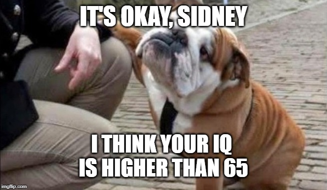 There There Dog | IT'S OKAY, SIDNEY I THINK YOUR IQ 
IS HIGHER THAN 65 | image tagged in there there dog | made w/ Imgflip meme maker