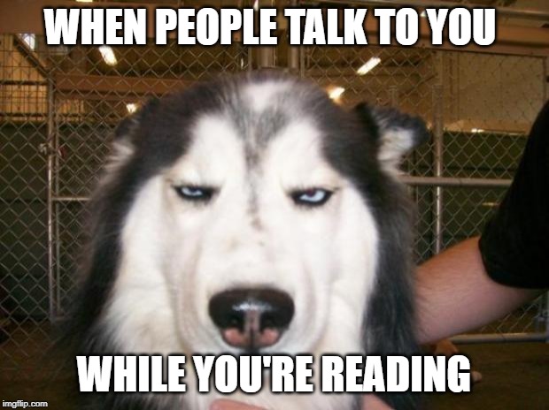 Annoyed Dog |  WHEN PEOPLE TALK TO YOU; WHILE YOU'RE READING | image tagged in annoyed dog | made w/ Imgflip meme maker