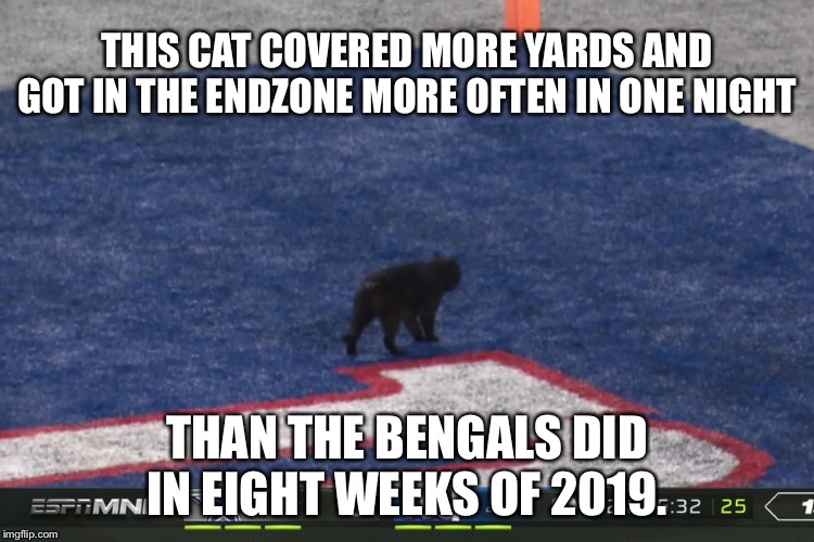 This cat is available Cincinnati | THIS CAT COVERED MORE YARDS AND GOT IN THE ENDZONE MORE OFTEN IN ONE NIGHT; THAN THE BENGALS DID IN EIGHT WEEKS OF 2019. | image tagged in cat monday night football,memes,bengals,nfl logic,week,black cat | made w/ Imgflip meme maker
