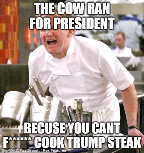 Chef Gordon Ramsay | THE COW RAN FOR PRESIDENT; BECUSE YOU CANT F****** COOK TRUMP STEAK | image tagged in memes,chef gordon ramsay | made w/ Imgflip meme maker