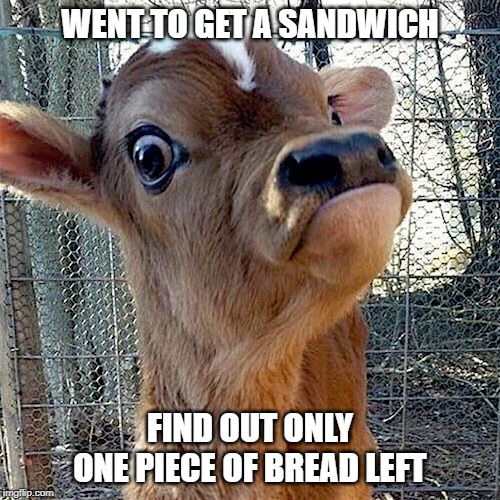 No Bread | WENT TO GET A SANDWICH; FIND OUT ONLY ONE PIECE OF BREAD LEFT | image tagged in angry cow,no bread,sammich,disappointed,bad luck | made w/ Imgflip meme maker