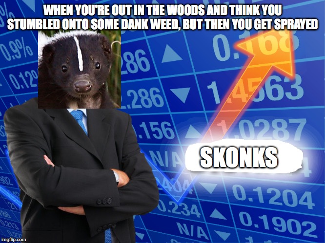 Skonks | WHEN YOU'RE OUT IN THE WOODS AND THINK YOU STUMBLED ONTO SOME DANK WEED, BUT THEN YOU GET SPRAYED; SKONKS | image tagged in skunk,weed,hiking,stonks,marijuana,pot | made w/ Imgflip meme maker