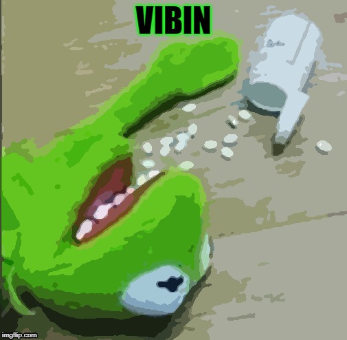 vibin | VIBIN | image tagged in kermit the frog,memes,funny memes | made w/ Imgflip meme maker