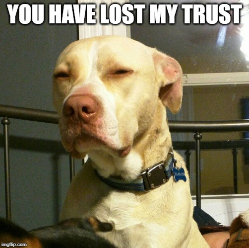 Suspicious Dog | YOU HAVE LOST MY TRUST | image tagged in suspicious dog | made w/ Imgflip meme maker