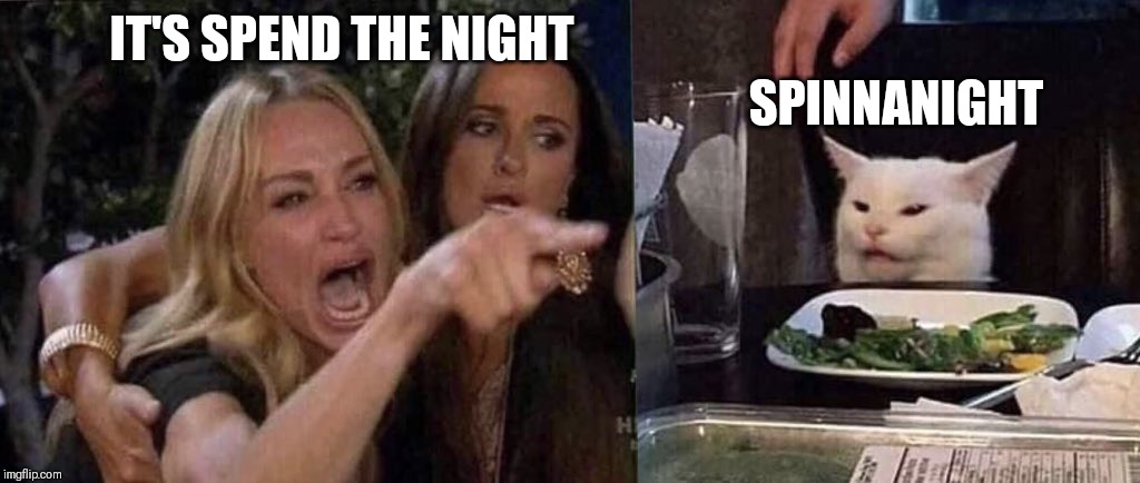 woman yelling at cat | SPINNANIGHT; IT'S SPEND THE NIGHT | image tagged in woman yelling at cat | made w/ Imgflip meme maker