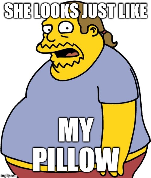 Comic Book Guy Meme | SHE LOOKS JUST LIKE MY PILLOW | image tagged in memes,comic book guy | made w/ Imgflip meme maker