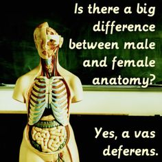 sex Blank Meme Template