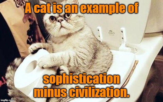 sophistication | A cat is an example of; sophistication minus civilization. | image tagged in cat | made w/ Imgflip meme maker