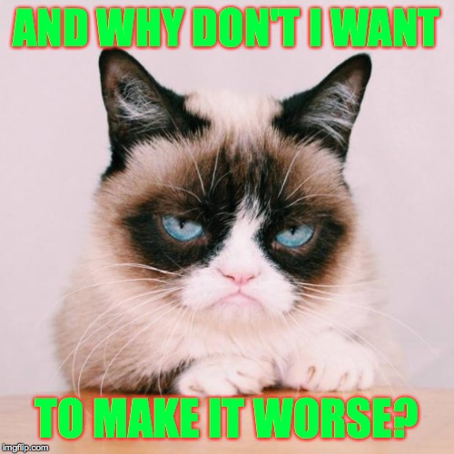 grumpy cat again | AND WHY DON'T I WANT TO MAKE IT WORSE? | image tagged in grumpy cat again | made w/ Imgflip meme maker