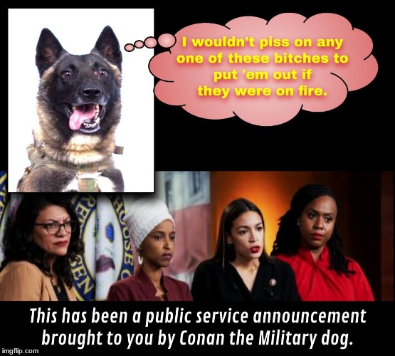 Indeed. | image tagged in conan the hero dog,politics,political | made w/ Imgflip meme maker