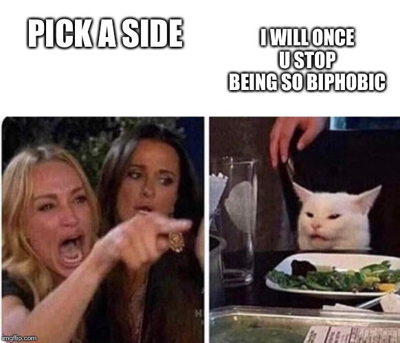 Lady screams at cat | I WILL ONCE U STOP BEING SO BIPHOBIC; PICK A SIDE | image tagged in lady screams at cat | made w/ Imgflip meme maker