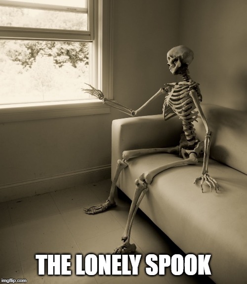 Lonely Skeleton | THE LONELY SPOOK | image tagged in lonely skeleton | made w/ Imgflip meme maker
