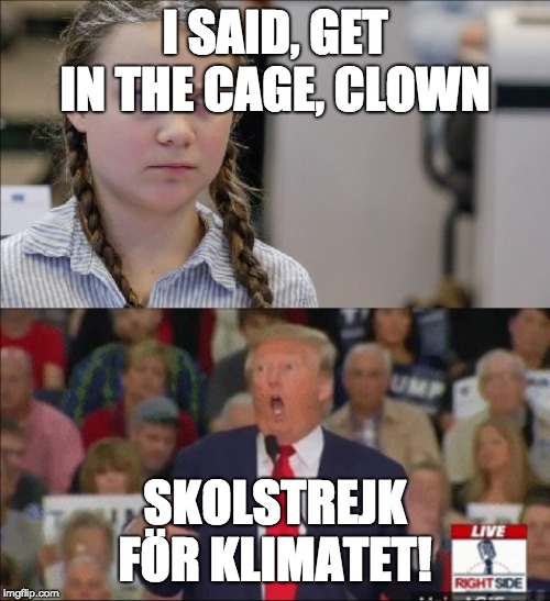 Trump - Greta Thunberg | I SAID, GET IN THE CAGE, CLOWN; SKOLSTREJK FÖR KLIMATET! | image tagged in trump - greta thunberg | made w/ Imgflip meme maker