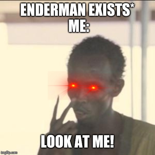 Look At Me | ENDERMAN EXISTS*
 ME:; LOOK AT ME! | image tagged in memes,look at me | made w/ Imgflip meme maker