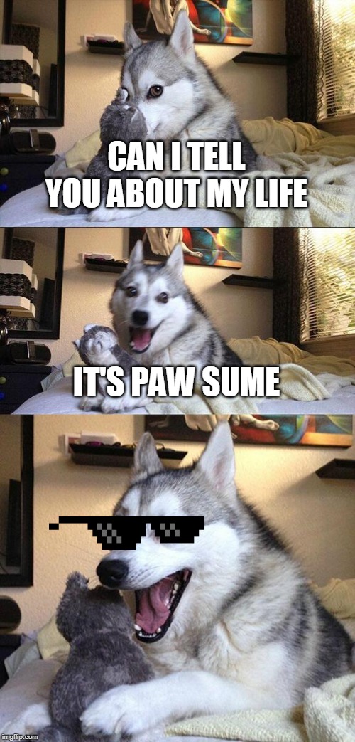 Bad Pun Dog Meme | CAN I TELL YOU ABOUT MY LIFE; IT'S PAW SUME | image tagged in memes,bad pun dog | made w/ Imgflip meme maker