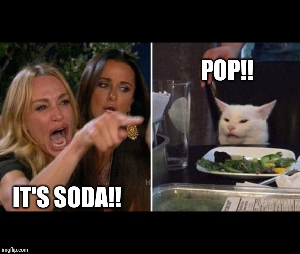 Its pop | POP!! IT'S SODA!! | image tagged in two women yelling at a cat | made w/ Imgflip meme maker
