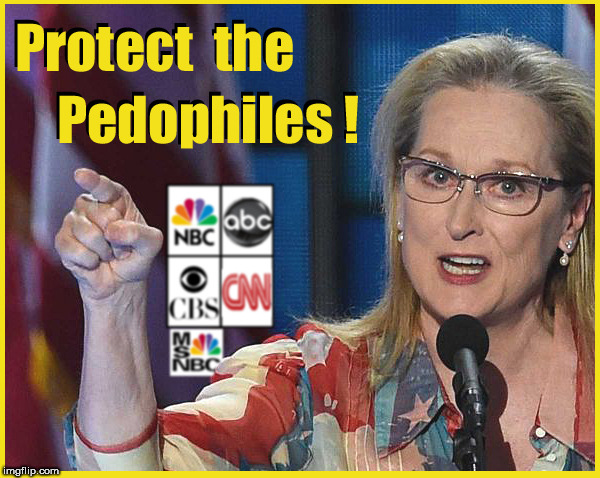 Protect the Pedophiles !!!!!! | image tagged in meryl streep,hollywood liberals,scumbag hollywood,pedophile,jeffrey epstein,bill clinton - sexual relations | made w/ Imgflip meme maker
