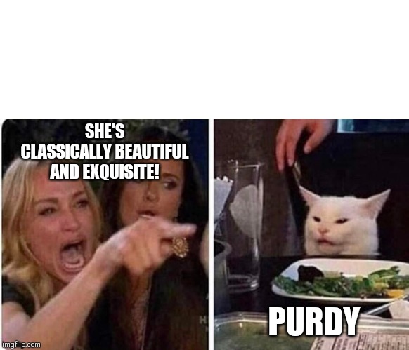 Lady screams at cat | SHE'S CLASSICALLY BEAUTIFUL AND EXQUISITE! PURDY | image tagged in lady screams at cat | made w/ Imgflip meme maker