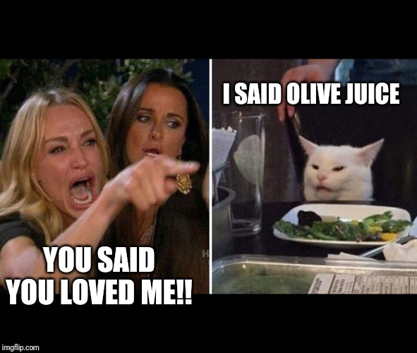 I SAID OLIVE JUICE; YOU SAID YOU LOVED ME!! | image tagged in woman yelling at cat | made w/ Imgflip meme maker